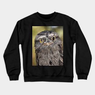 Tawny Frogmouth Portrait Crewneck Sweatshirt